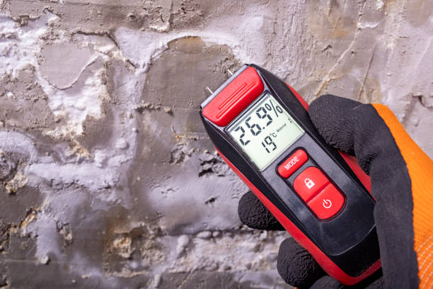 Best Attic Mold Removal  in Palm Desert, CA