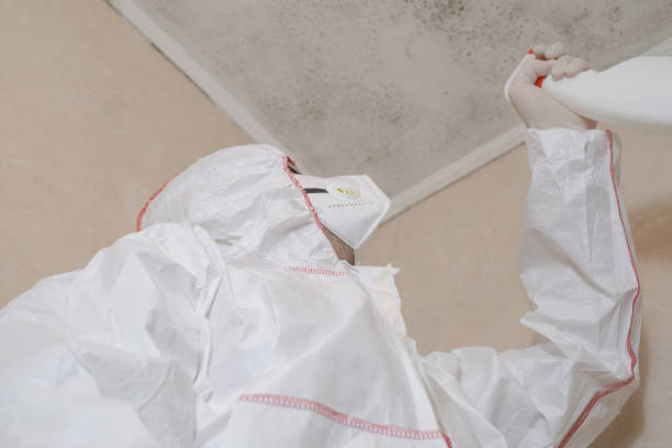 Crawl Space Mold Removal in Palm Desert, CA