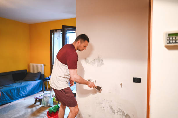 Trusted Palm Desert, CA Mold Removal Experts
