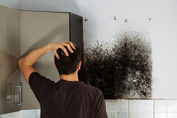 Best Mold Testing  in Palm Desert, CA